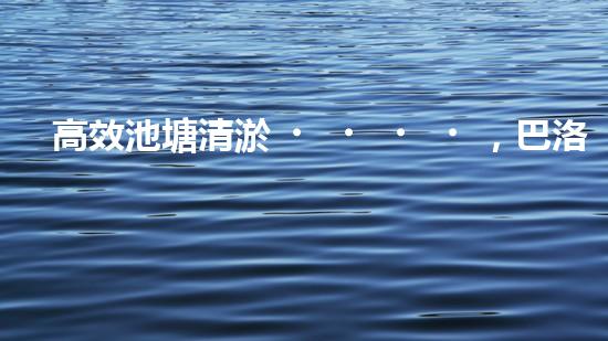 高效池塘清淤，巴洛仕設(shè)備助您一臂之力